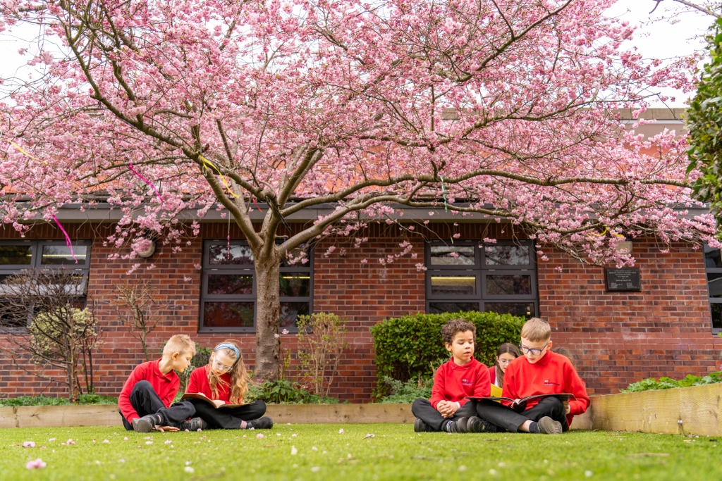 Birley_Spa_Photo_Exports-DSC00228 (1024×683)